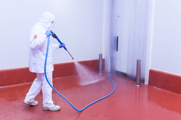 Spring Cleaning in Congress, AZ